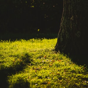 Mengapa di internet kegiatan olahraga taruhan jauh lebih baik daripada taruhan di toko Mengapa di internet kegiatan olahraga taruhan jauh lebih baik daripada taruhan di toko